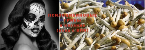 мдпв Покровск