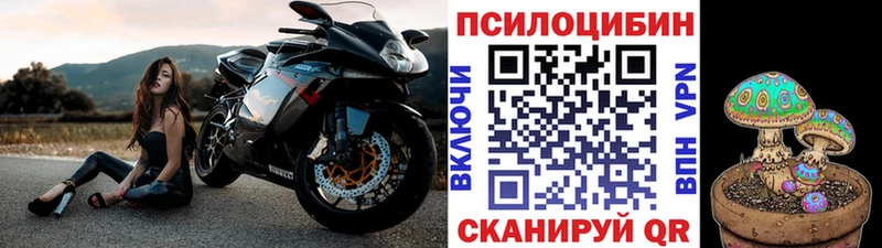 Псилоцибиновые грибы мухоморы  где найти наркотики  Большой Камень 