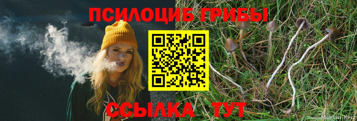 Псилоцибиновые грибы Cubensis  Вход с VPN  Галлюциногенные грибы ЛСД  Большой Камень 