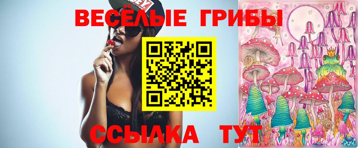 Псилоцибиновые грибы Psilocybe Большой Камень