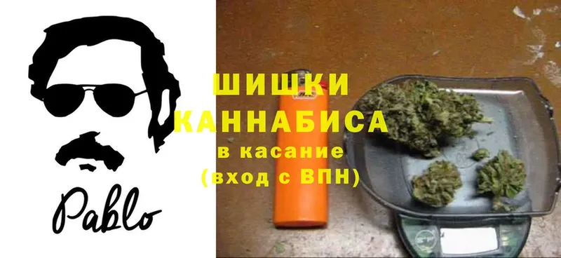 Каннабис сатива  Большой Камень 